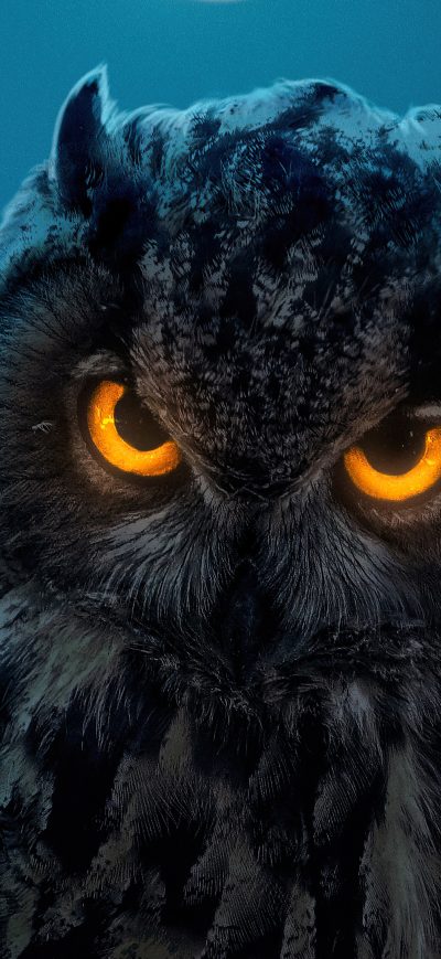 Fond d'écran iPhone Owl Glowing Eyes