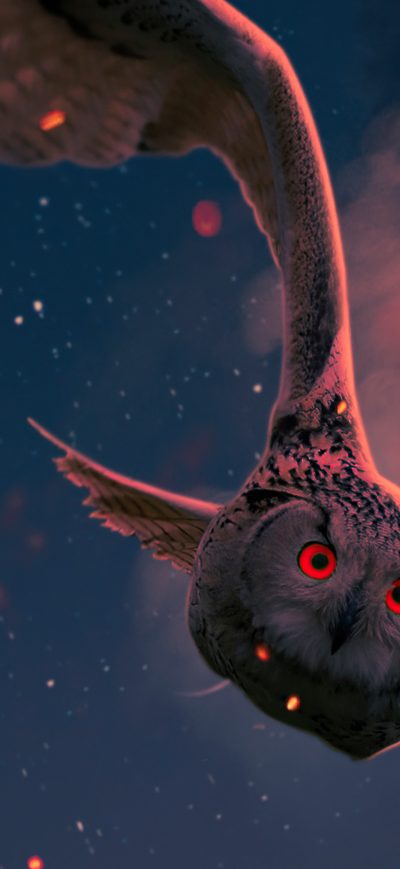 Fond d'écran iPhone Owl Red Eyes 5k