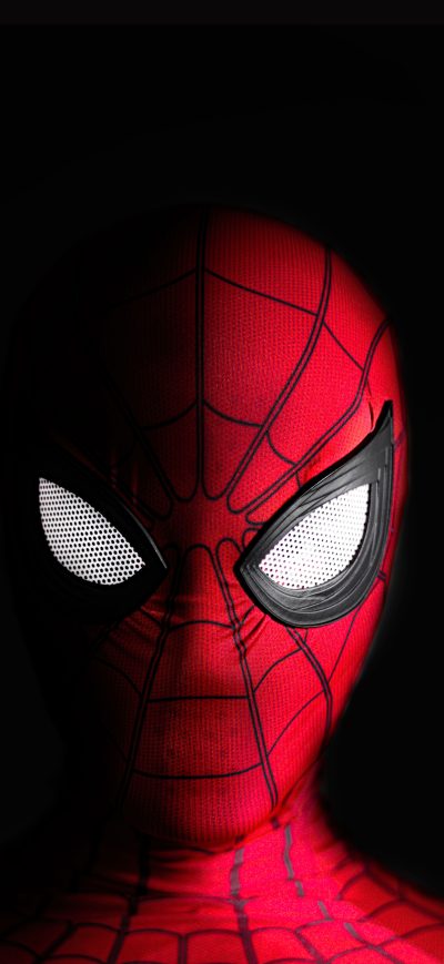 Fond d'écran iPhone Spiderman Self Portrait