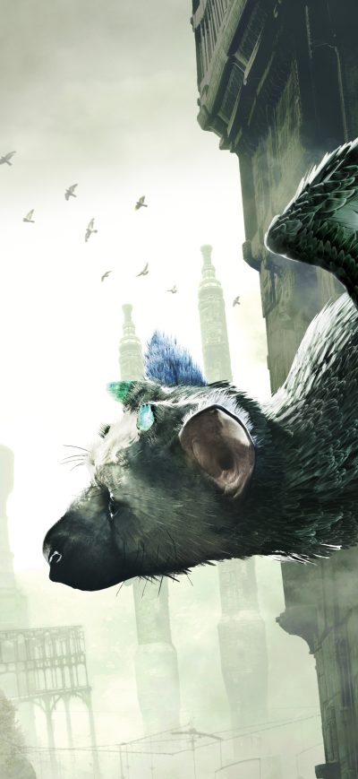 Fond d'écran iPhone The Last Guardian 10k