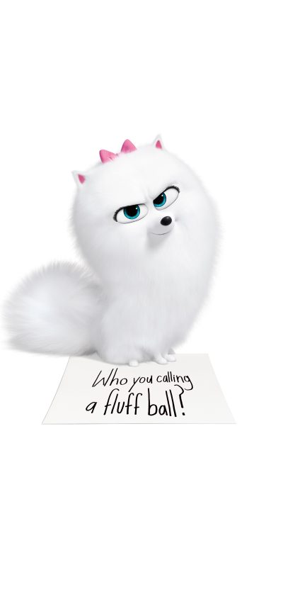 Fond d'écran iPhone The Secret Life Of Pets Gidget 8k
