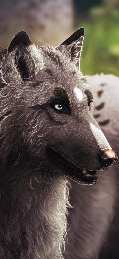 Fond d'écran iPhone Wolf Artwork