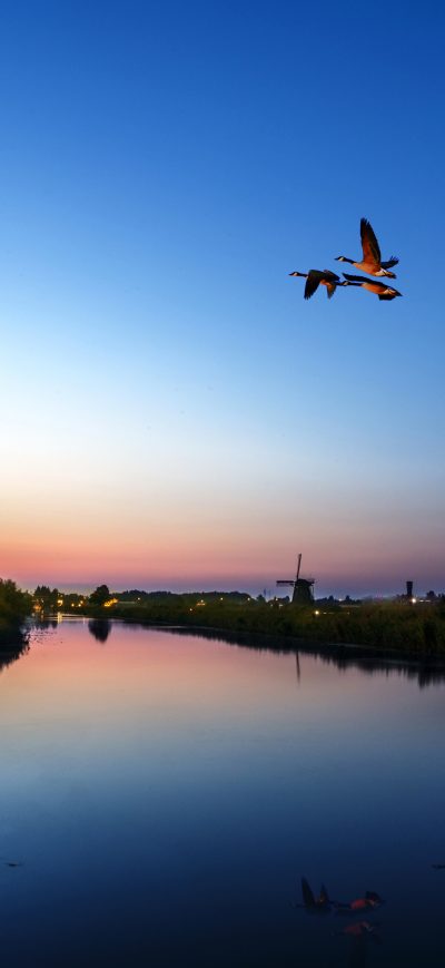 Fond d'écran iPhone Windmill Birds Flying Evening Lake 4k