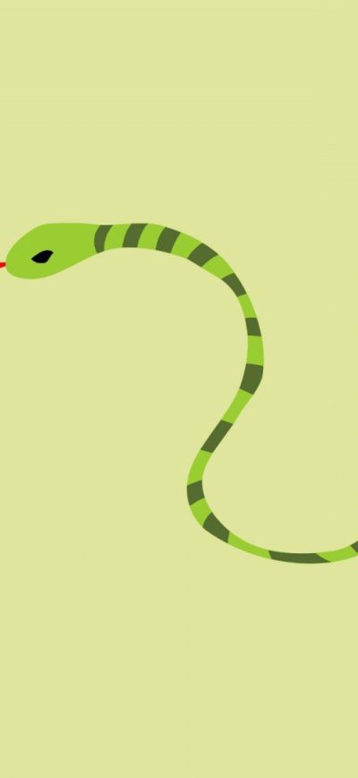 Fond d'écran iPhone Snake Minimalism