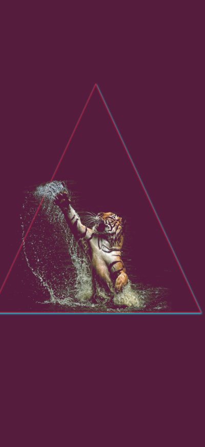 Fond d'écran iPhone Lion Triangle Art