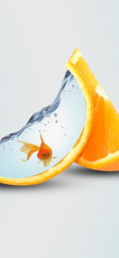 Fond d'écran Orange Artwork sur iPhone