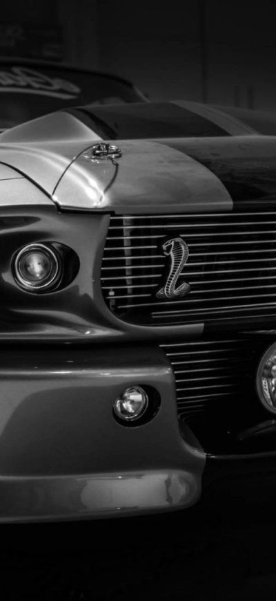 Fond d'écran iPhone Shelby GT500