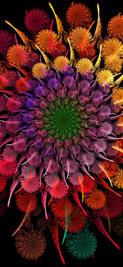 Fond d'écran iPhone Rainbow Flower