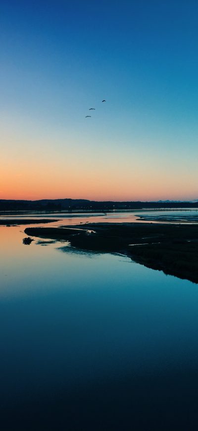 Fond d'écran iPhone Sea Sunset Shore Birds 4k