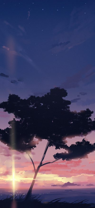Fond d'écran iPhone Sunset Sky Clouds Tree 4k