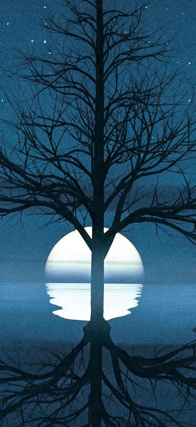 Fond d'écran iPhone Moon Set Behind Tree