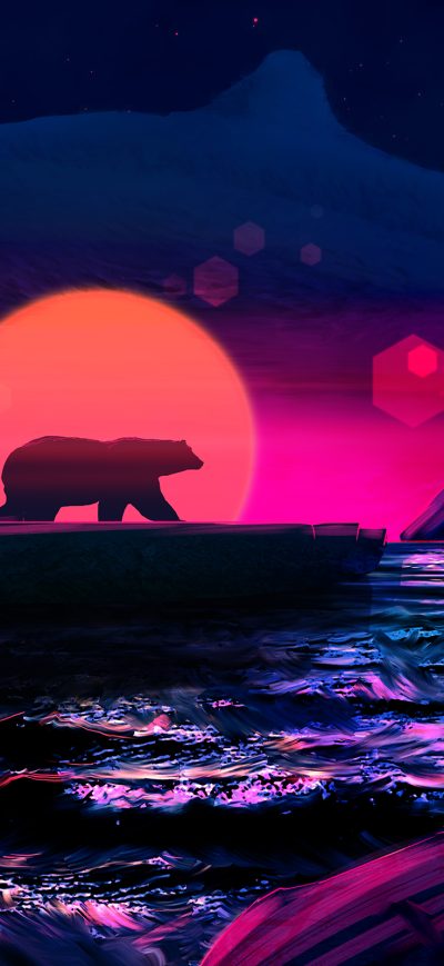Fond d'écran iPhone Bear Soul Of The Arctic