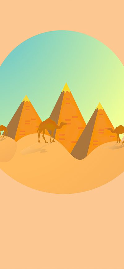 Fond d'écran iPhone Camel Desert Minimal 4k