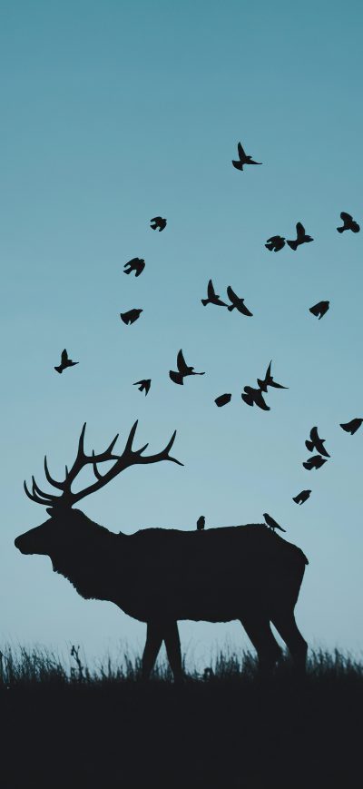Fond d'écran iPhone Reindeer Minimal Silhouette