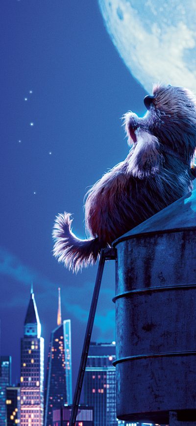 Fond d'écran iPhone The Secret Life Of Pets 2