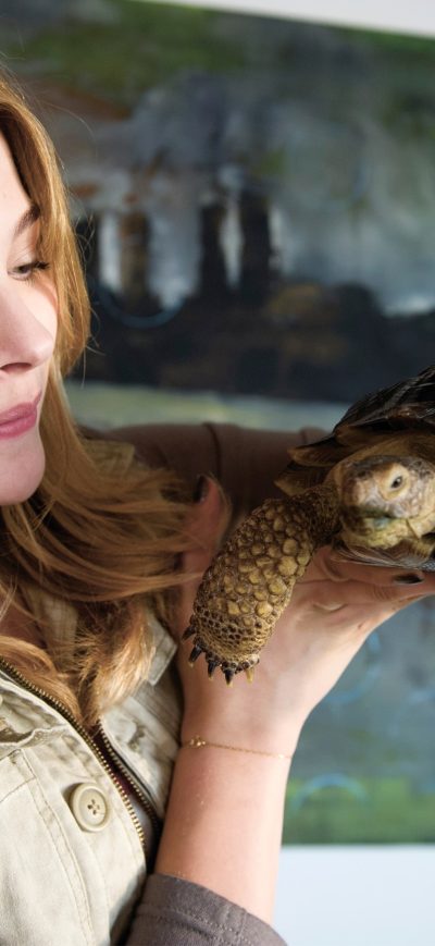 Fond d'écran iPhone Chloe Moretz In Laggies