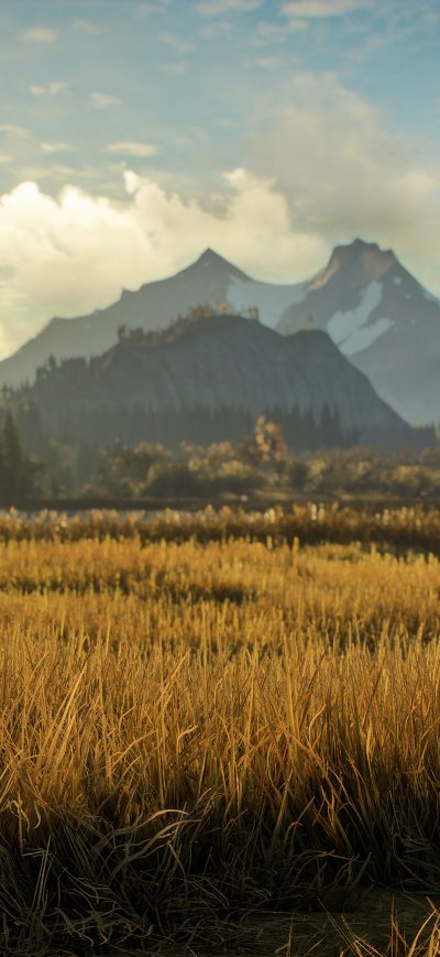 Fond d'écran iPhone TheHunter Call Of The Wild