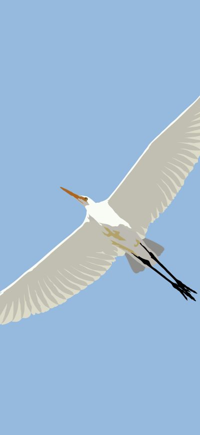 Fond d'écran iPhone Stilt Bird Illustration