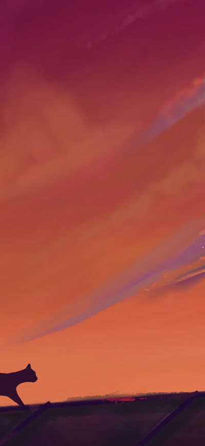 Fond d'écran iPhone Cat Sky Nature Scenery Digital Art 4k
