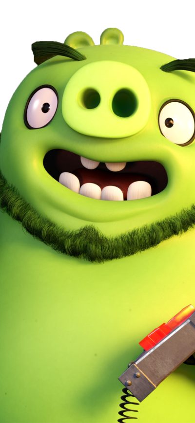 Fond d'écran iPhone Leonard Angry Birds Movie