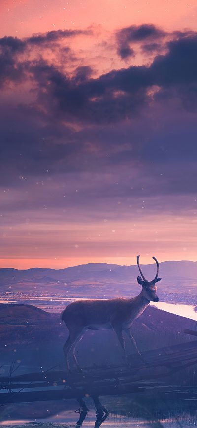 Fond d'écran iPhone Twilight Deer 4k