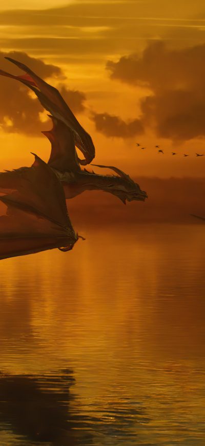 Fond d'écran iPhone Dragon Origins