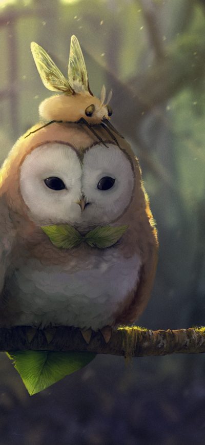 Fond d'écran Tranquil Owl sur iPhone