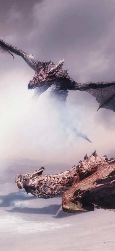 Fond d'écran iPhone Dragon Fantasy