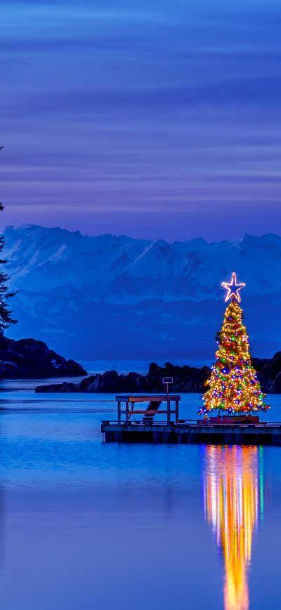 Fond d'écran iPhone Alaska Amalga Harbor Christmas Tree 10k