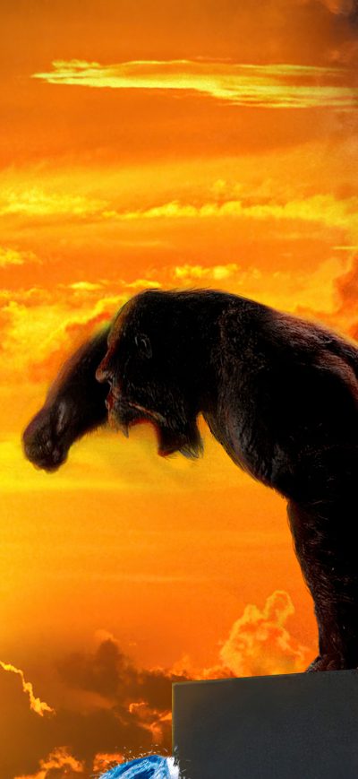 Fond d'écran iPhone Godzilla Vs Kong Concept Artwork 4k