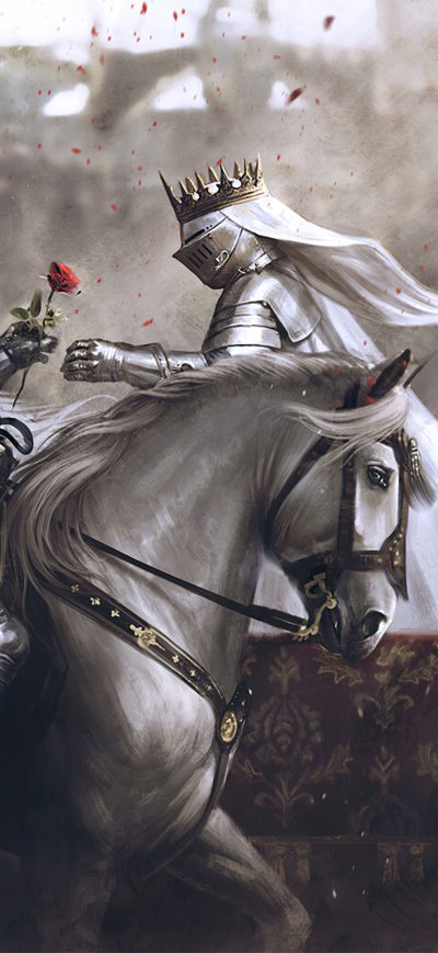 Fond d'écran iPhone Knight Armor Rose 4k