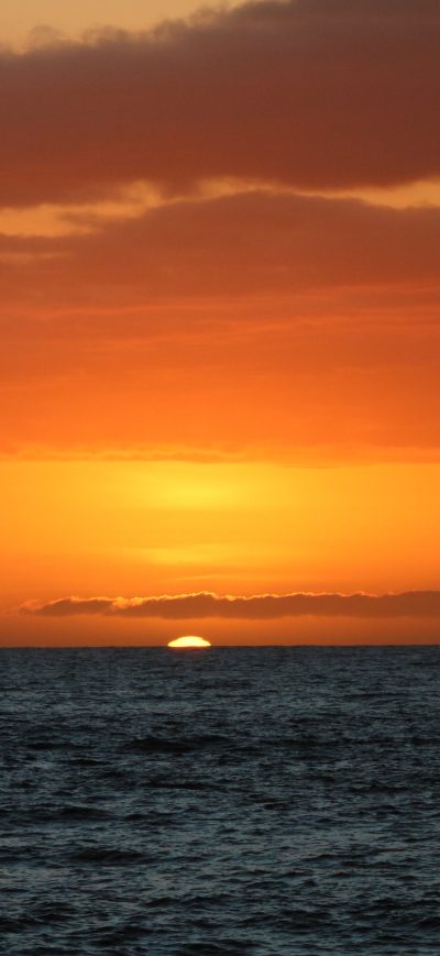 Fond d'écran iPhone Sunset Hawaii Orange Tropical Ocean Sea Water 5k