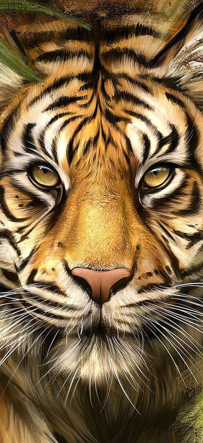 Fond d'écran iPhone Tiger Painting Art