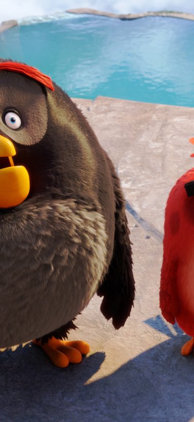 Fond d'écran iPhone Latest Angry Birds 2016 Movie