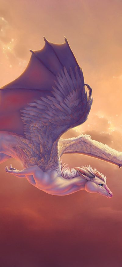 Fond d'écran iPhone Horse Dragon