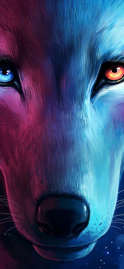 Fond d'écran iPhone The Galaxy Wolf