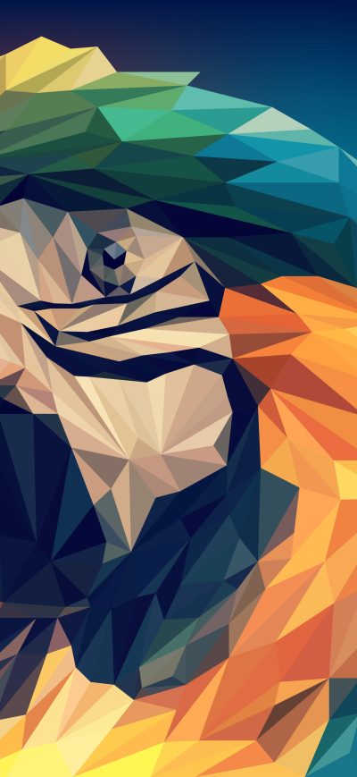 Fond d'écran iPhone Parrot Low Poly
