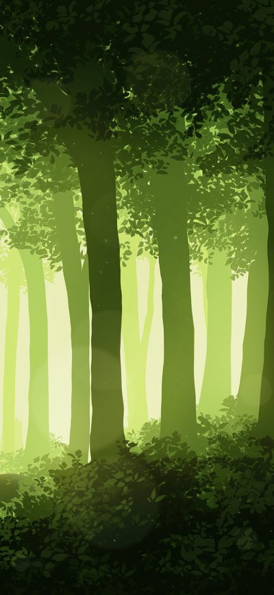 Fond d'écran iPhone Deer Forest 4k