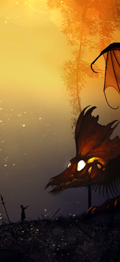 Fond d'écran iPhone Dragon Training Master 4k