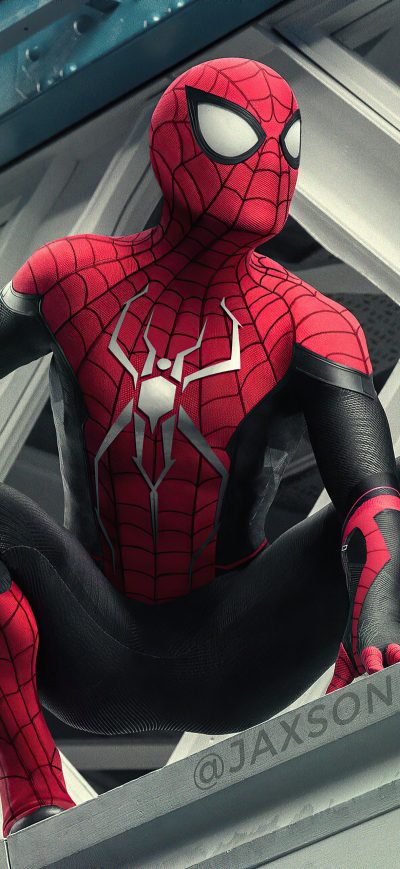 Fond d'écran iPhone Spider Man King Of Queens