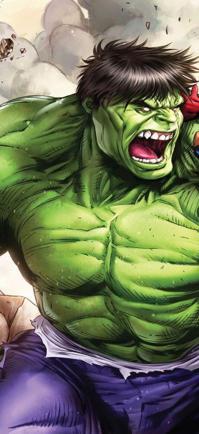 Fond d'écran iPhone Hulk Vs Spiderman