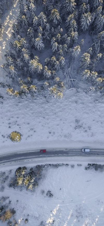 Fond d'écran iPhone Birds Eye Aerial View Of Road Trees Winter 4k