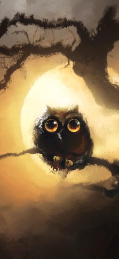 Fond d'écran iPhone Owl And Moon