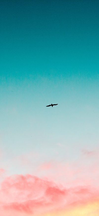 Fond d'écran iPhone Beautiful Sky Clouds Bird Flying 4k