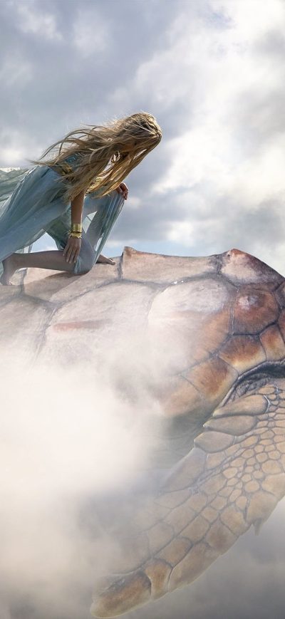 Fond d'écran iPhone Fantasy Art Turtle