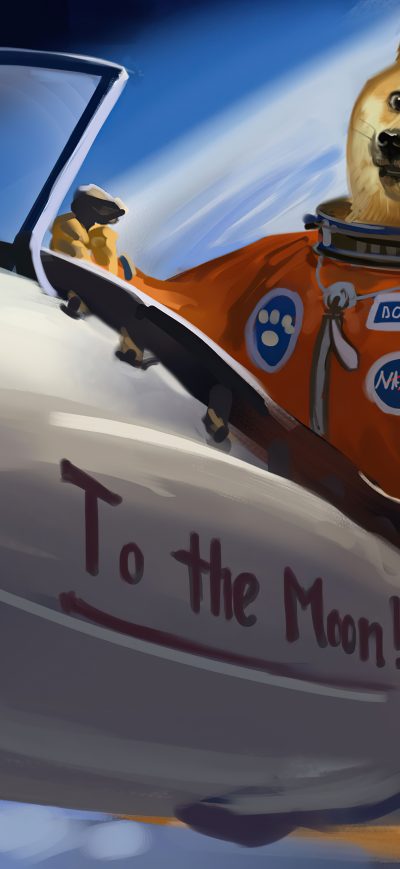 Fond d'écran iPhone Doge To The Moon