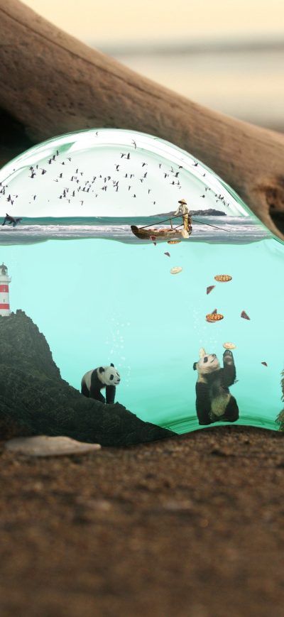 Fond d'écran Manipulation sur iPhone