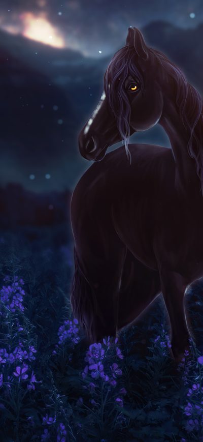 Fond d'écran iPhone Horse Meadow Night Flowers 4k