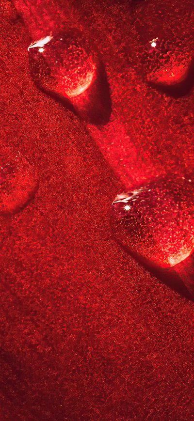 Fond d'écran iPhone Macro Flower Drops 4k