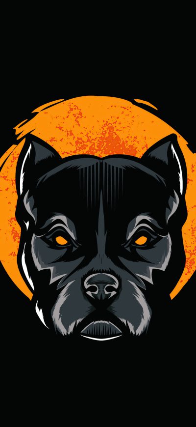Fond d'écran iPhone Pitbull Minimal 4k